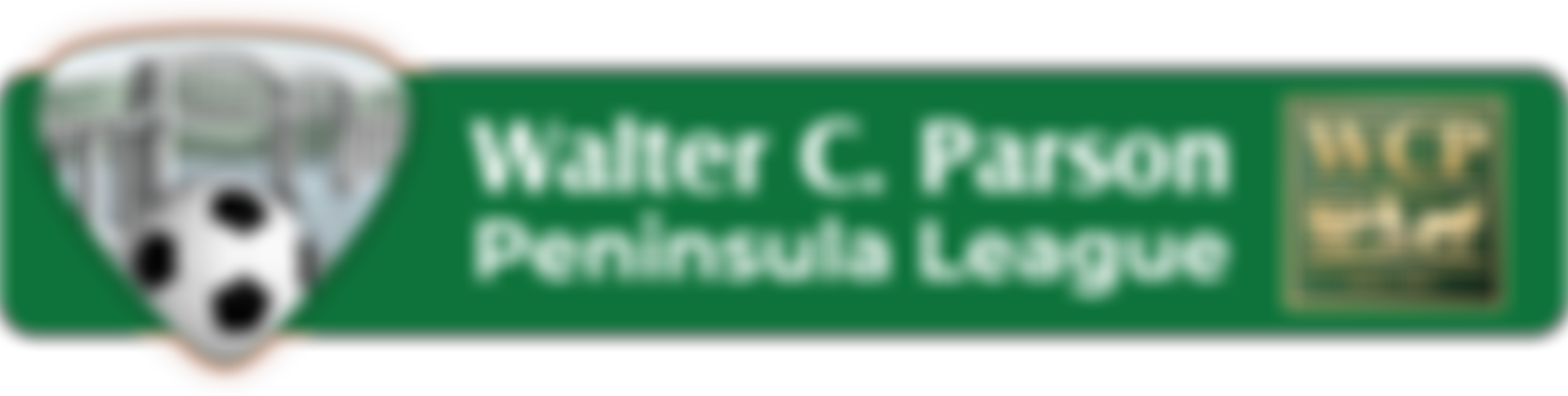 South West Peninsula Football League Benevolent Fund | Charici