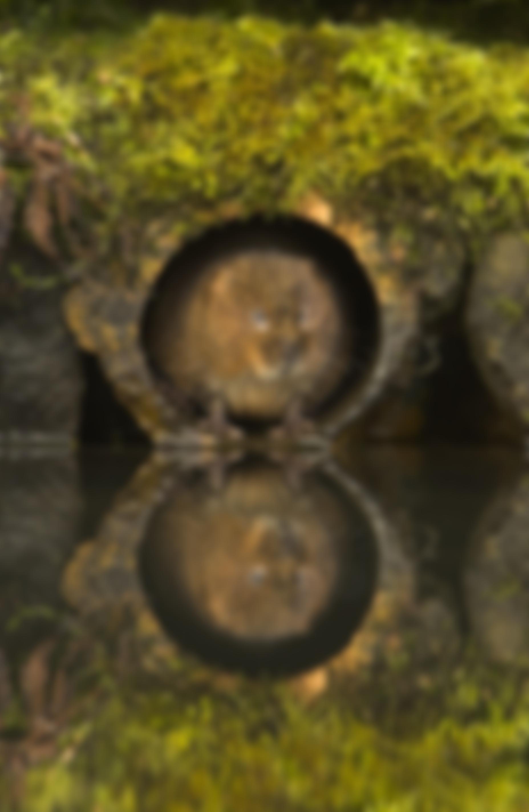 Tale Valley Trust | Charici