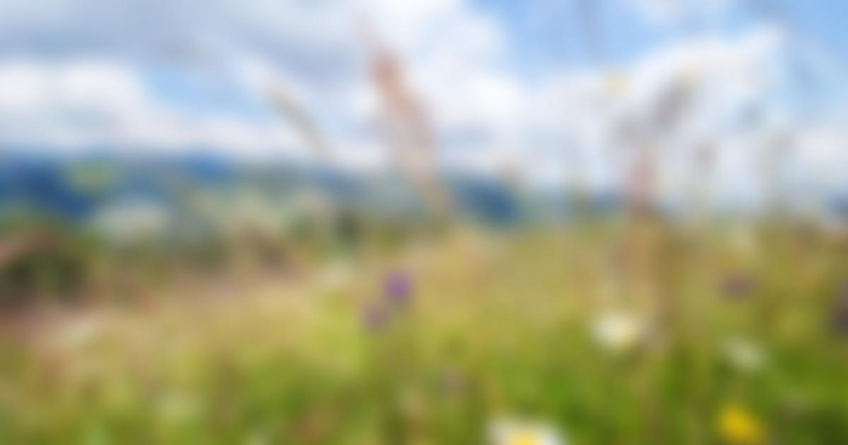 Shooting Star Cancer Support | Charici