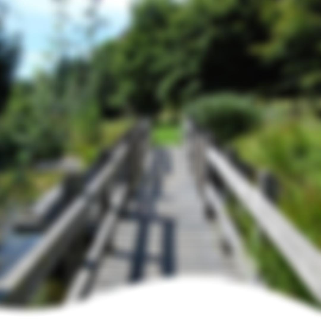 Earthworks Trust Limited | Charici