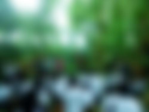 The Matthiesen Foundation | Charici