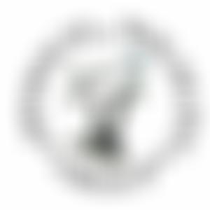 Ipswich Wildlife Group | Charici