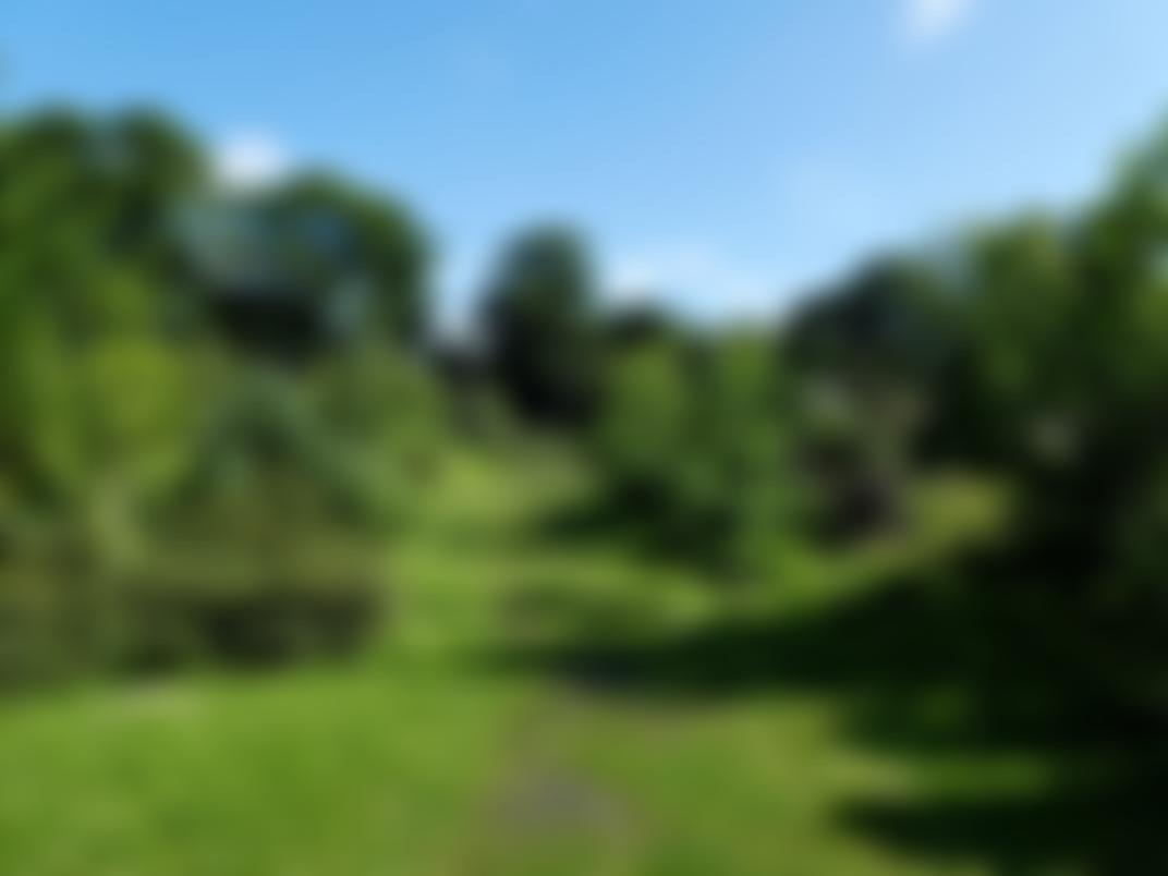 Friends Of Graves Park | Charici