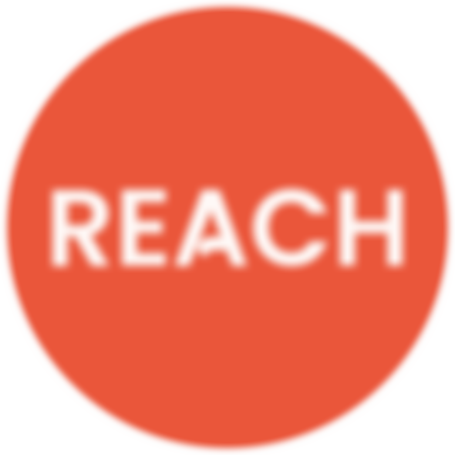 Reach Trust | Charici