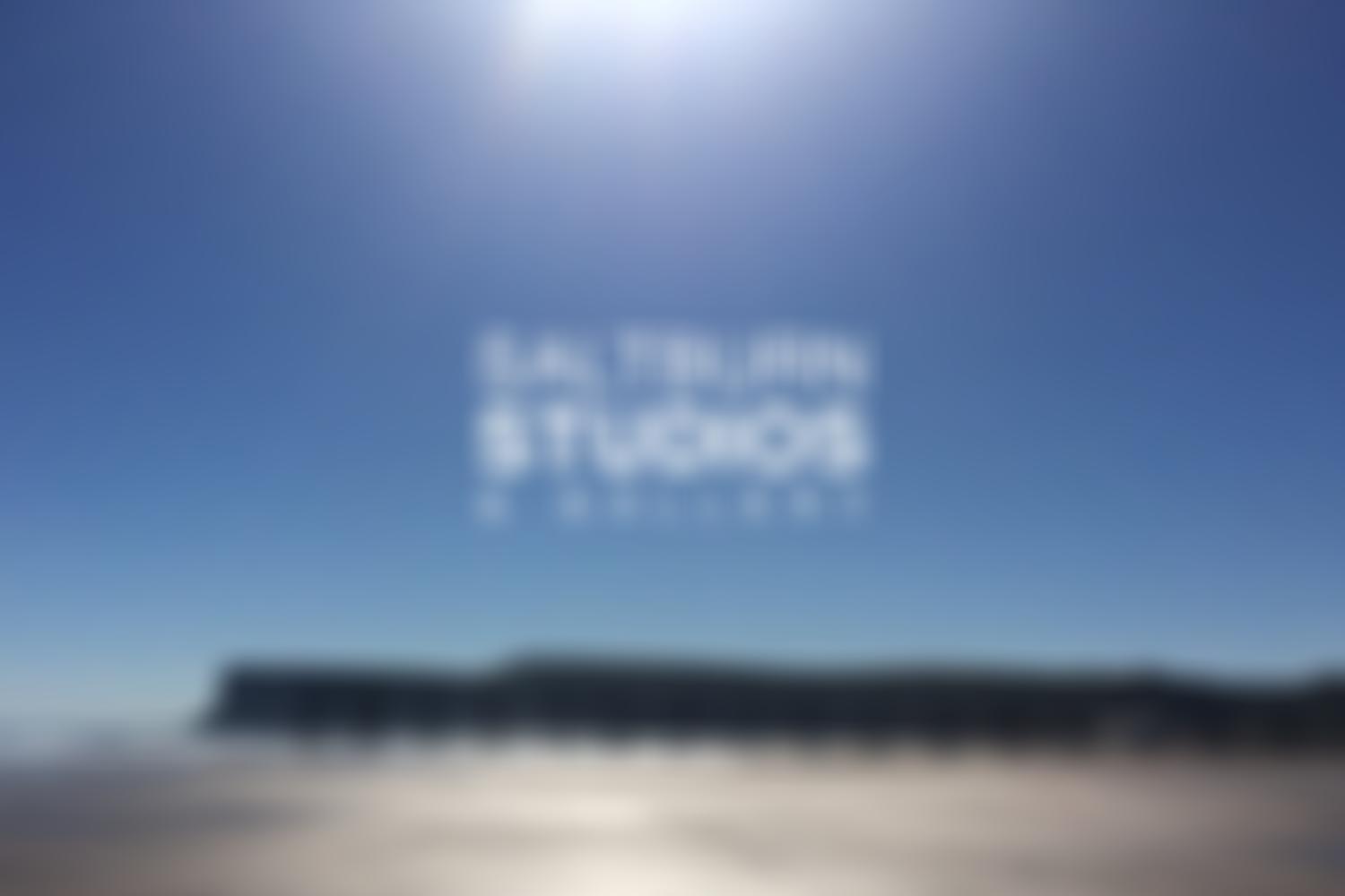 Saltburn Artists Projects Ltd | Charici