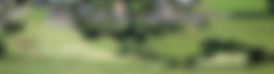 Thorverton Millennium Green Trust | Charici