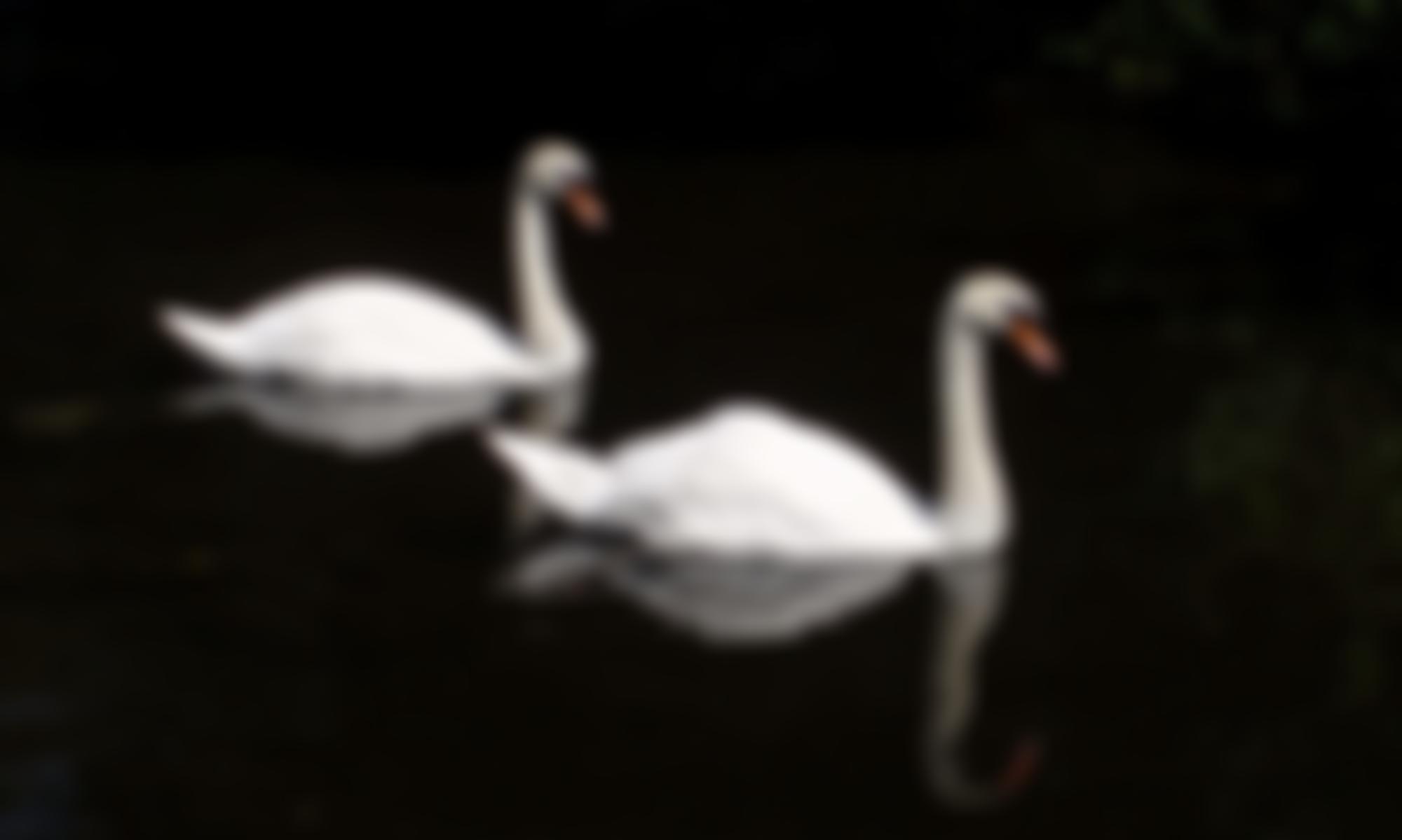 The Association For Pastoral Care In Mental Health | Charici