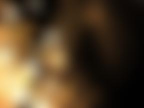 Stevenage Symphony Orchestra | Charici