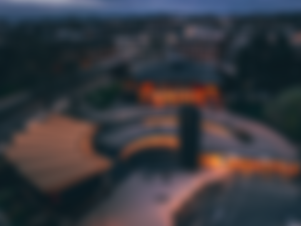 The New Wolsey Theatre Company Limited | Charici