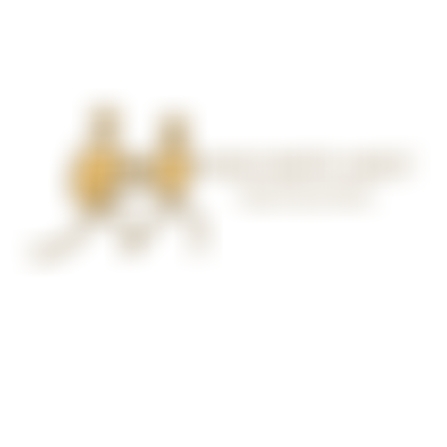 Adhd North West | Charici