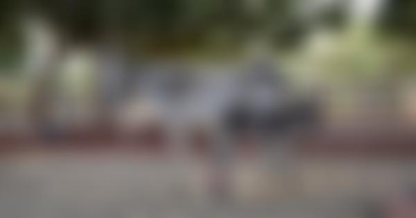 Animal Care In Egypt Limited | Charici