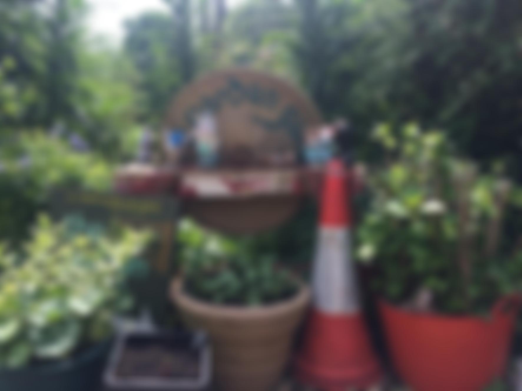 The Garden Gate Project Ltd | Charici