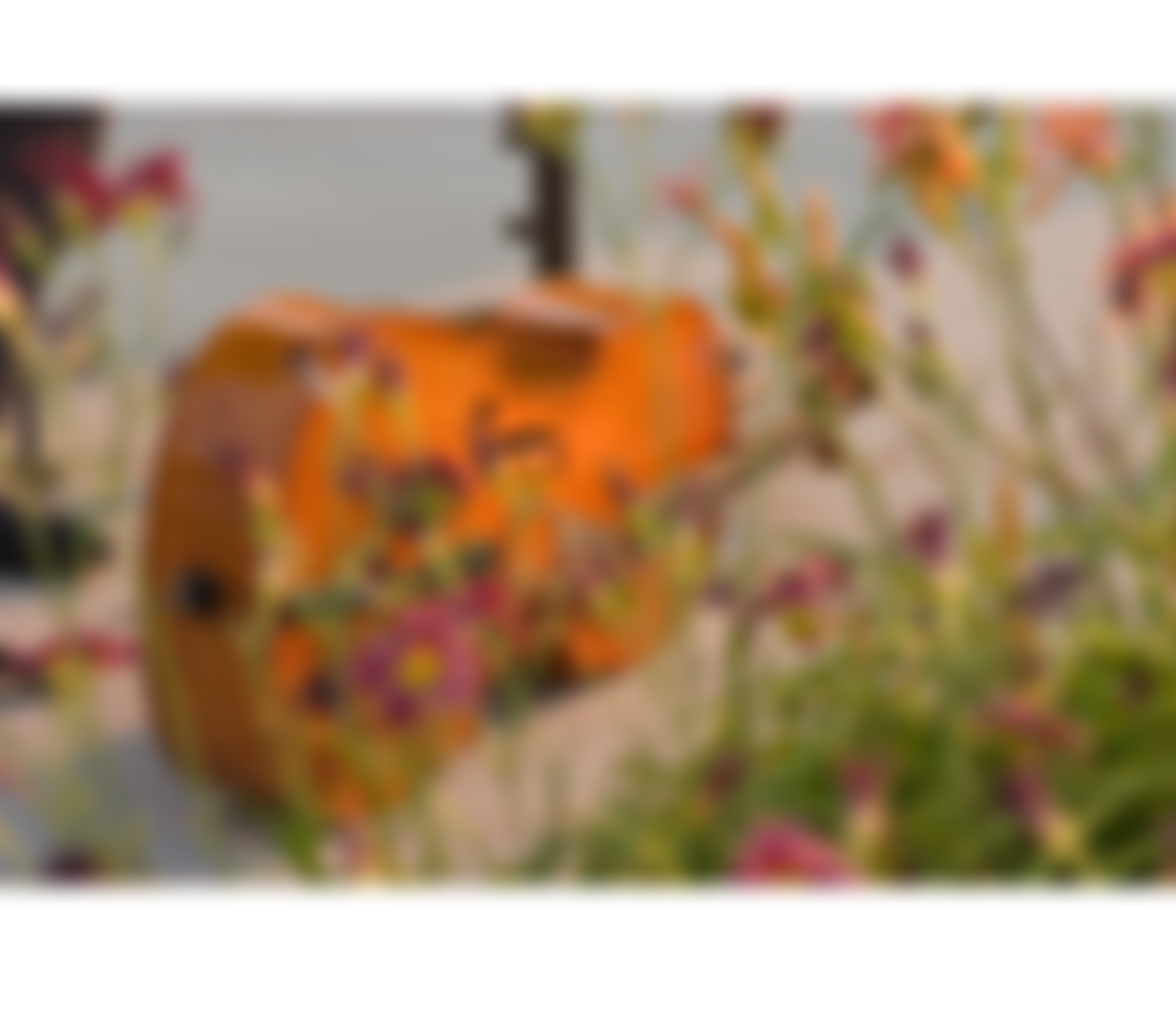 Buckingham Summer Festival | Charici