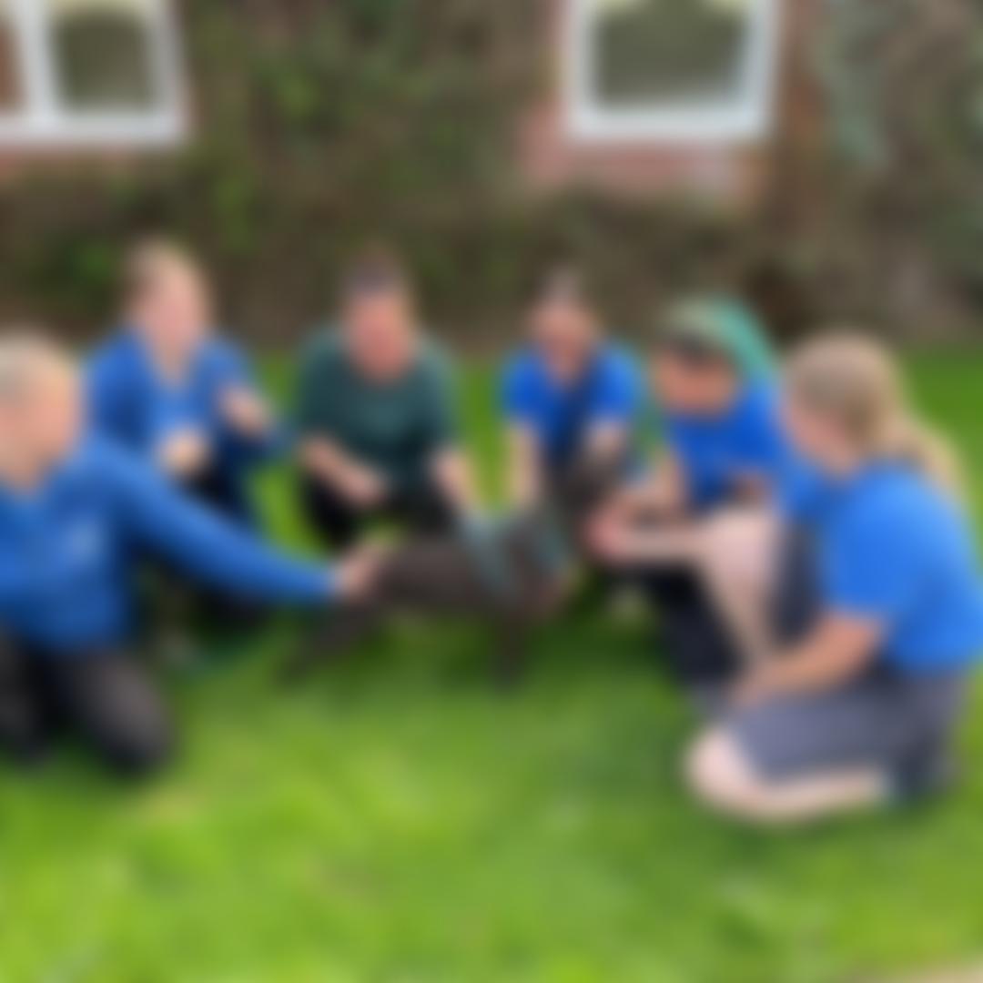 Rspca Devon Branch | Charici