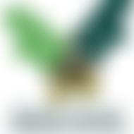 Skelton Woods Environment Group | Charici