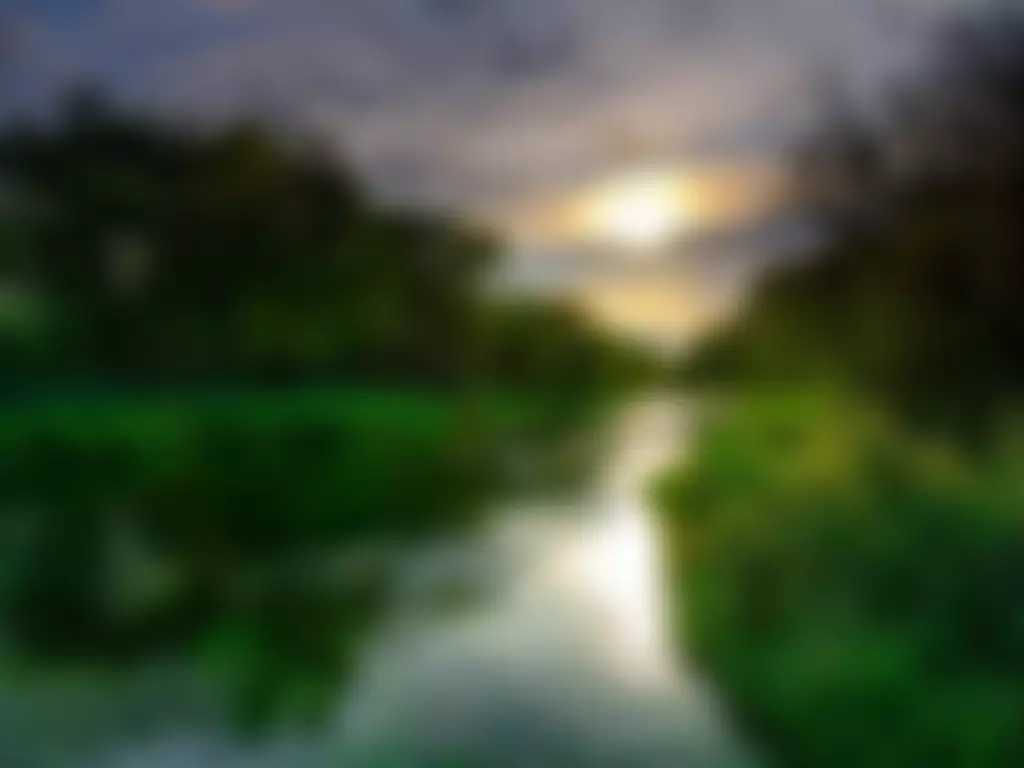 King George`s Field Martyr Worthy | Charici