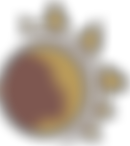 African Women's Care | Charici