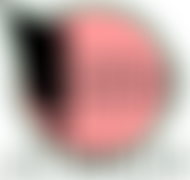 Norfolk Wherry Trust | Charici