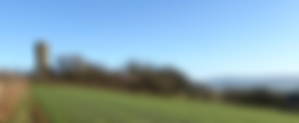 The Flounders' Folly Trust | Charici