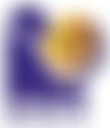 British And Irish Legal Information Institute | Charici