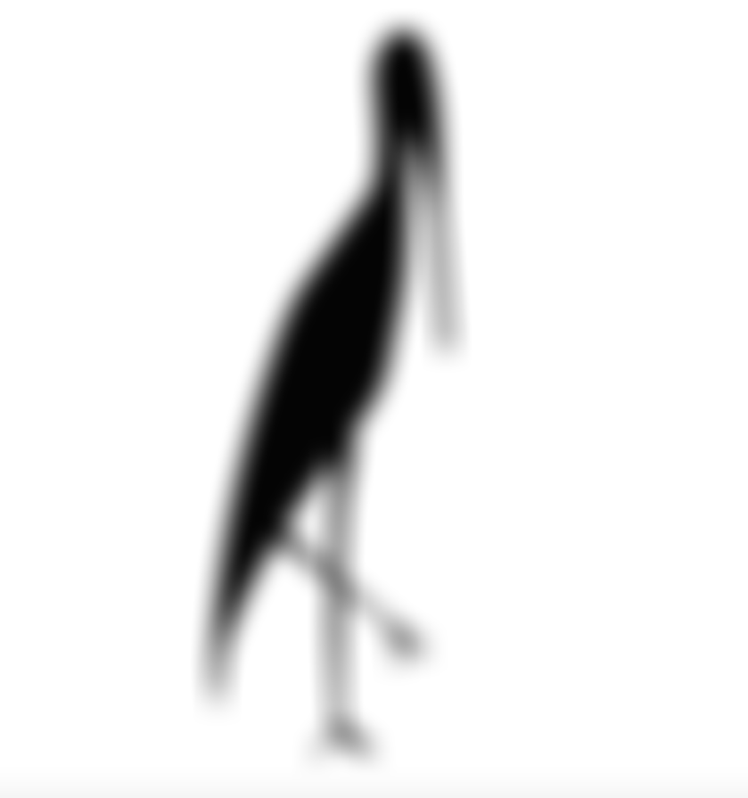 Storrington And District Museum Society | Charici