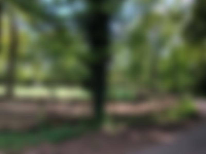 Curridge Playground | Charici