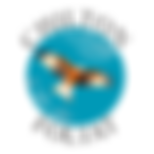 Chilton Foliat Village Hall | Charici