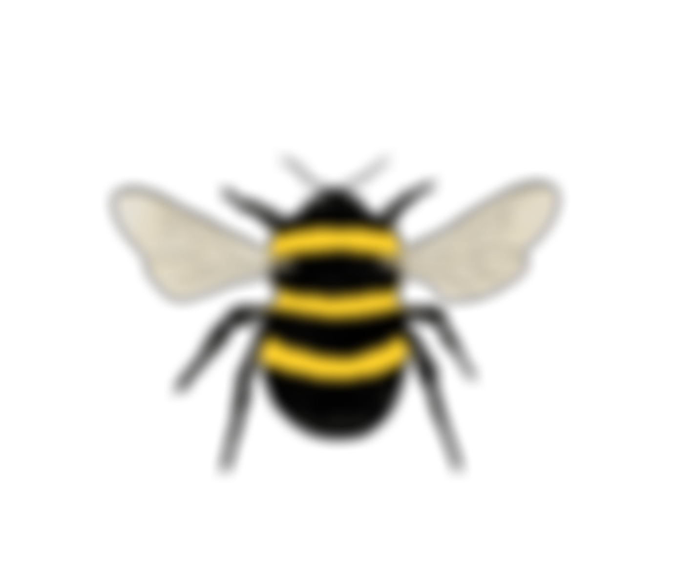 Barn Hill Conservation Group | Charici