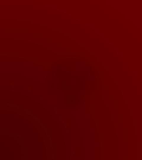 Woodford Schools' Parent Teachers Association | Charici