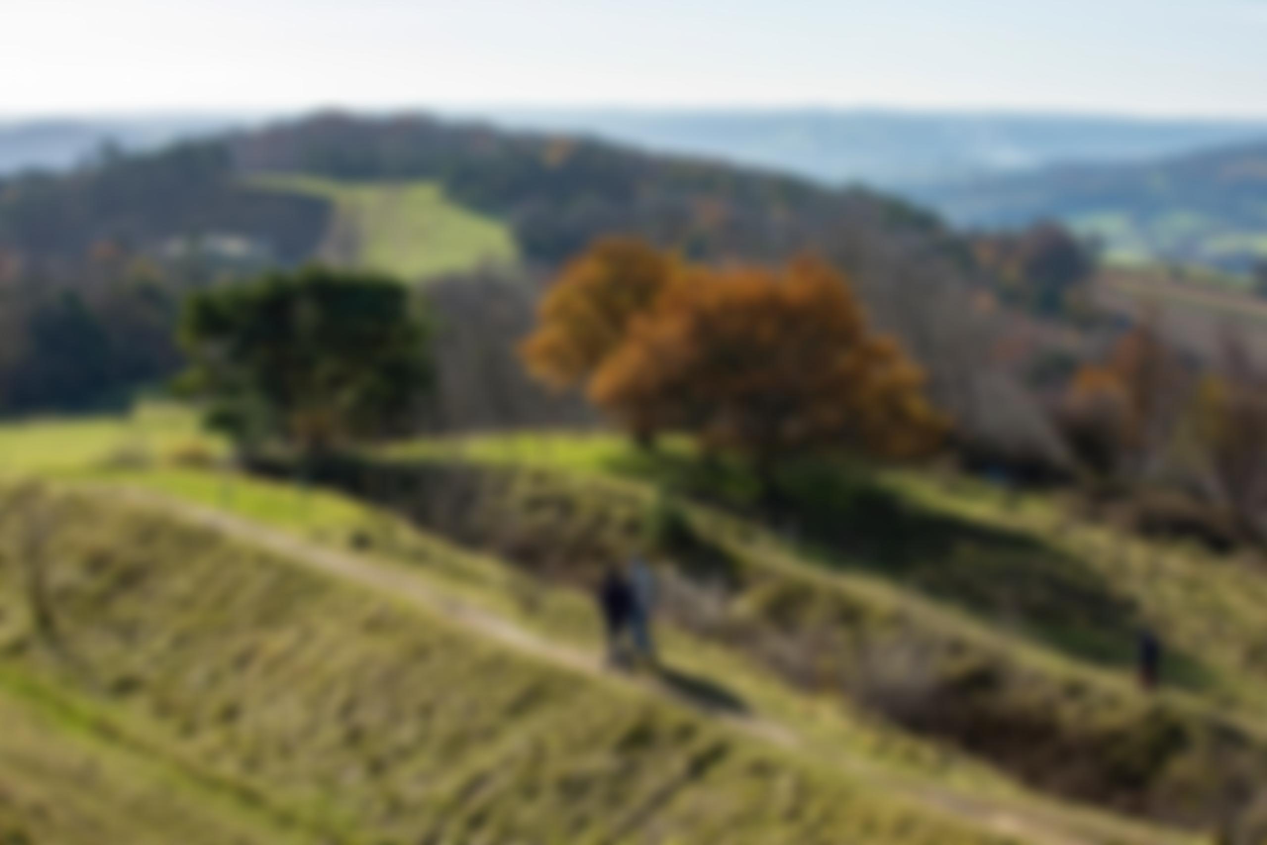 Campaign To Protect Rural England, Gloucestershire Branch | Charici