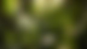 Epsom And Ewell Islamic Society | Charici