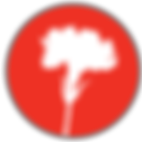 Mac Keith Press | Charici