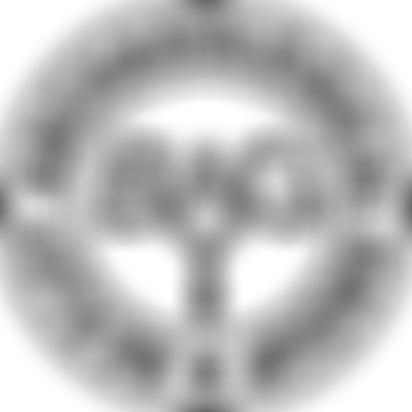 Bexley Archaeological Group | Charici