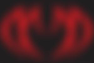 Millennium Stadium Charitable Trust | Charici