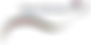 The Dove Service | Charici