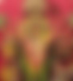 The North East Of England Bengali Puja Association | Charici