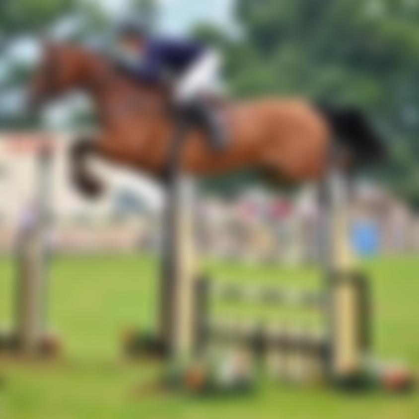 The Denbighshire And Flintshire Agricultural Society Limited | Charici