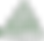 People First Tameside | Charici