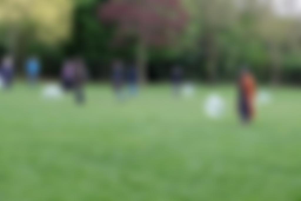 Salamanda Tandem | Charici