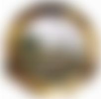 Medway Maritime Trust | Charici