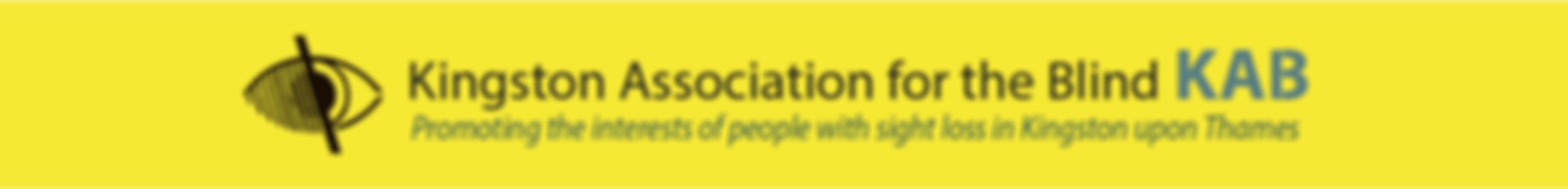The Kingston Upon Thames Association For The Blind | Charici
