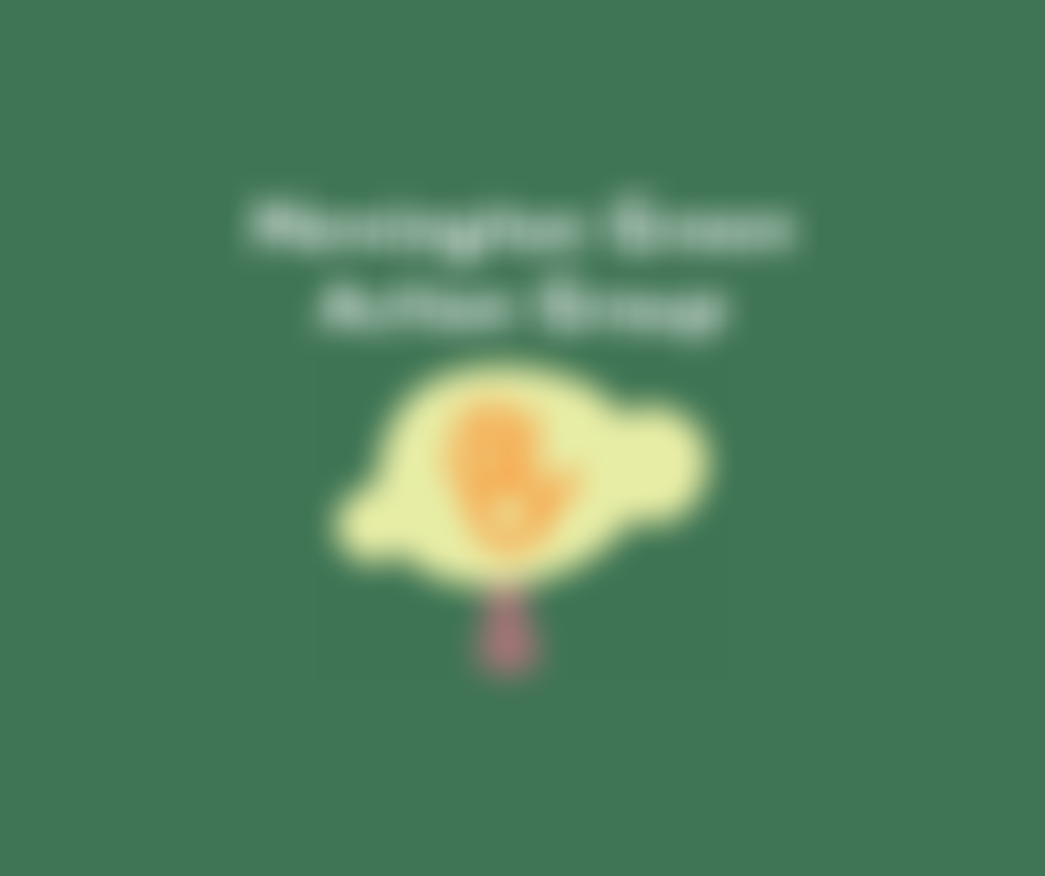 Newington Green Action Group | Charici