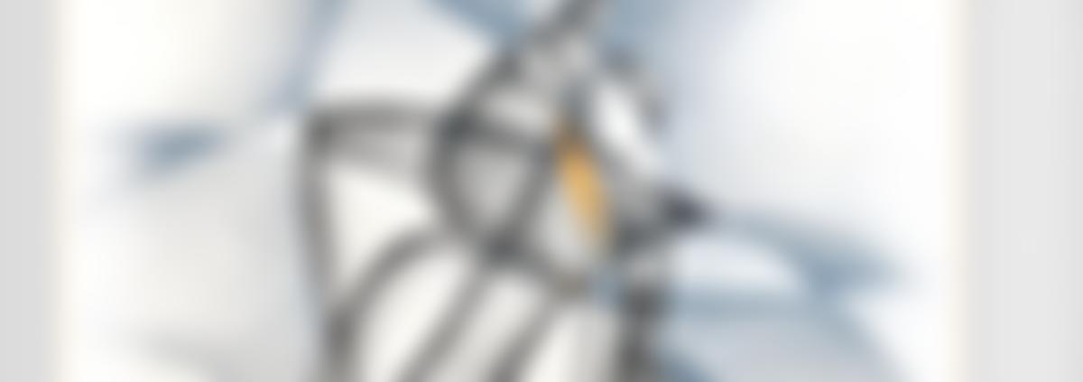 The Institute Of Psychotherapy And Disability | Charici