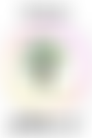 Honeywell Schools, Parents Teachers And Friends Association | Charici