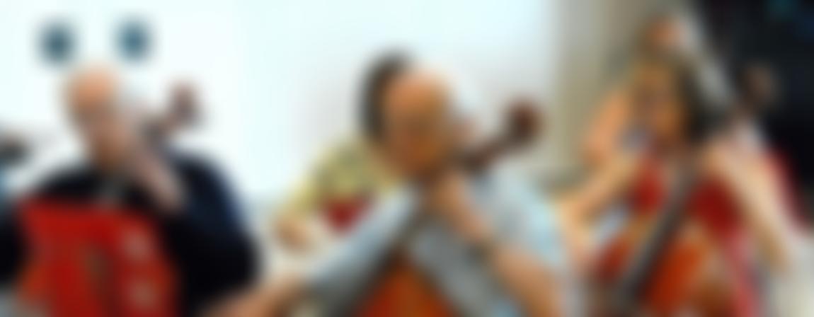 Yorkshire Late Starters Strings | Charici