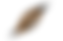 Mali Development Group | Charici