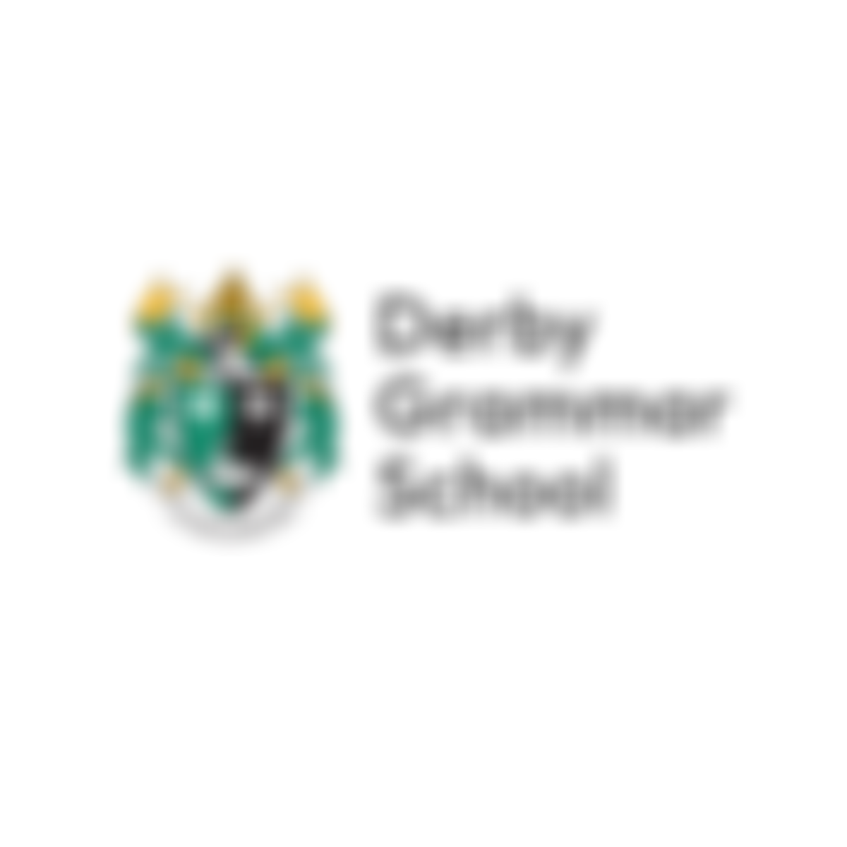 Derby Grammar School Pta | Charici