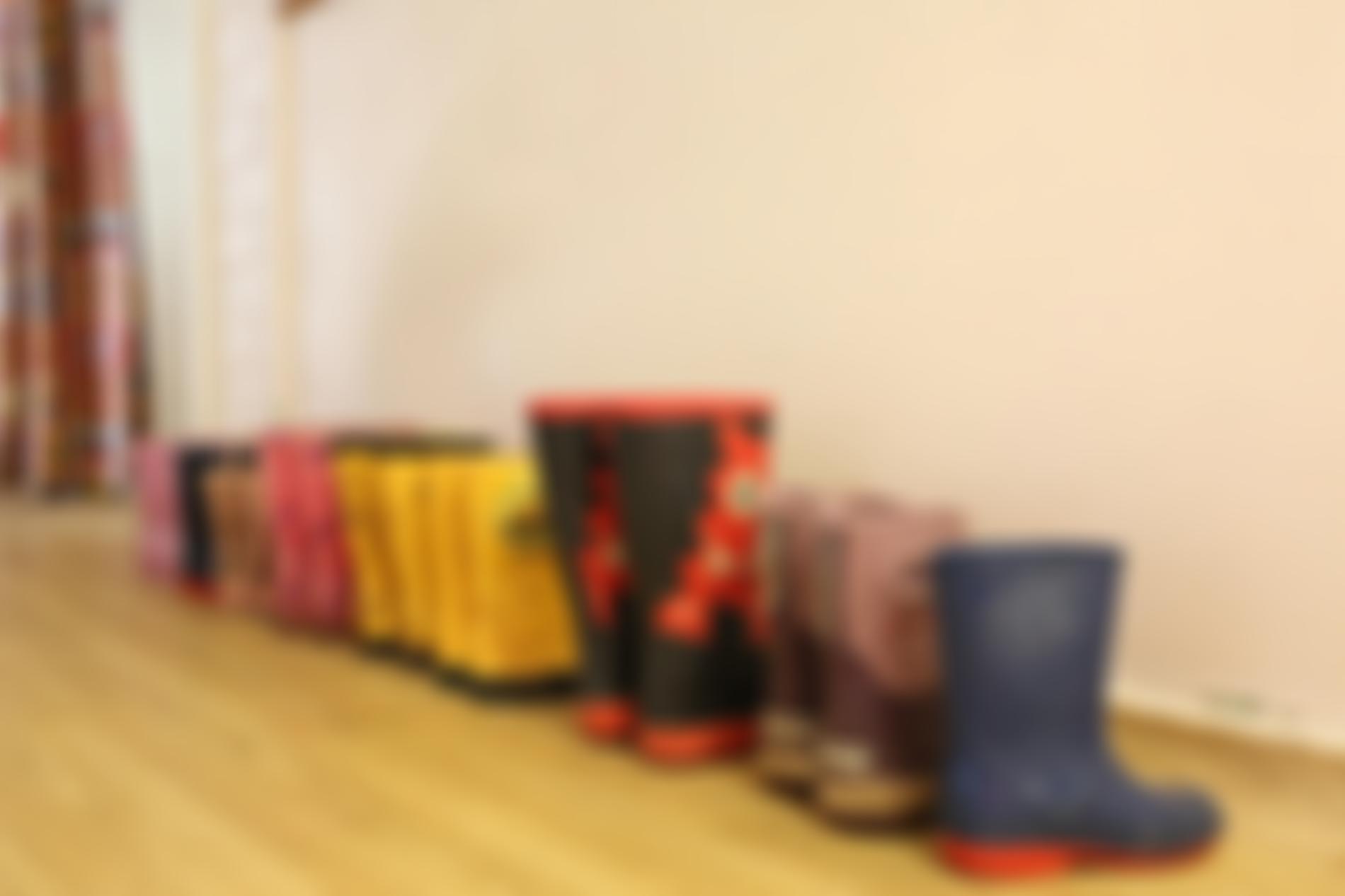 Yorkies Daycare | Charici