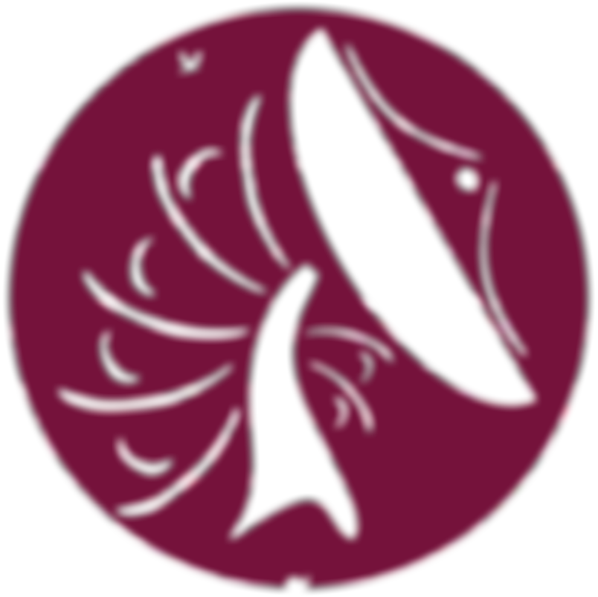 Madley Environmental Study Centre (Mesc) | Charici