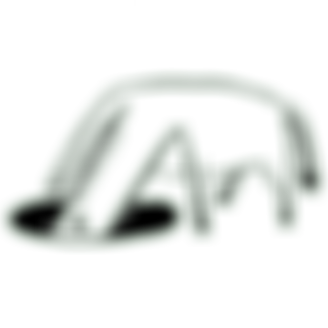 Plant The Seed Ministries Trust | Charici